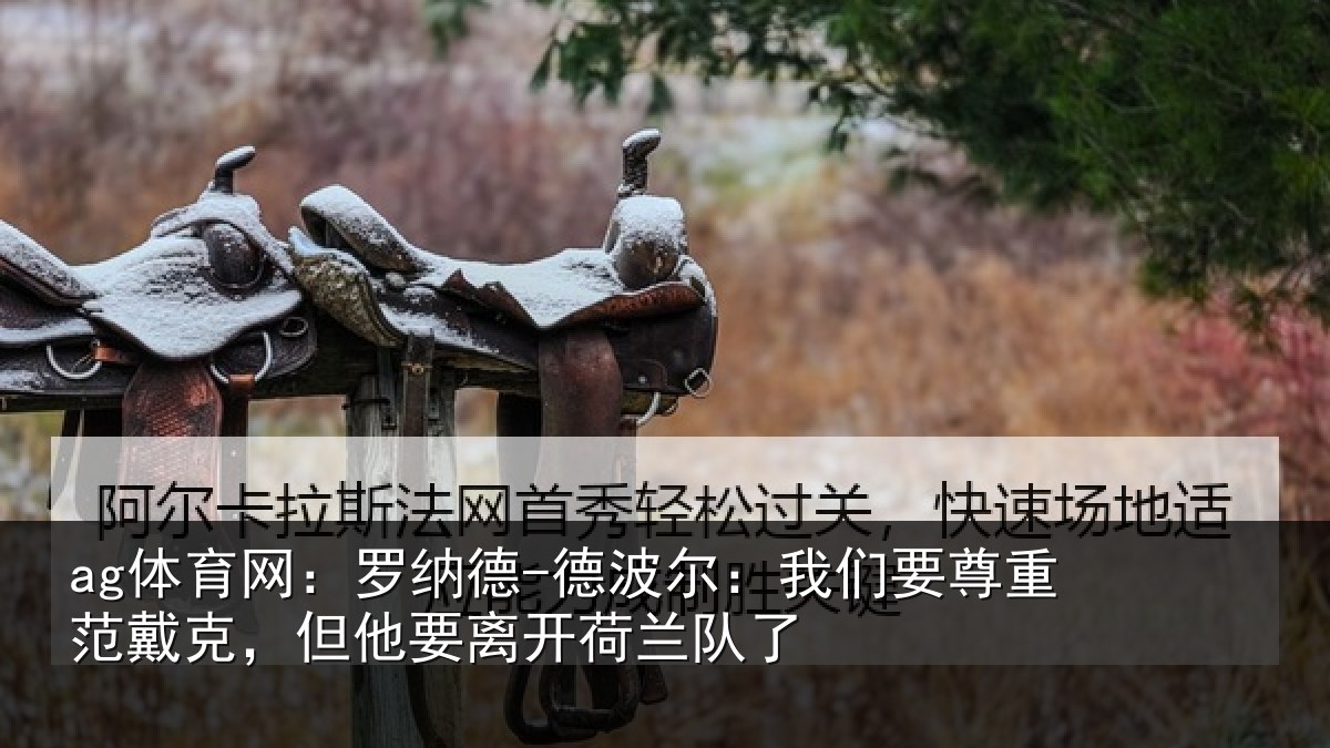 ag体育网:罗纳德-德波尔:我们要尊重范戴克,但他要离开荷兰队了