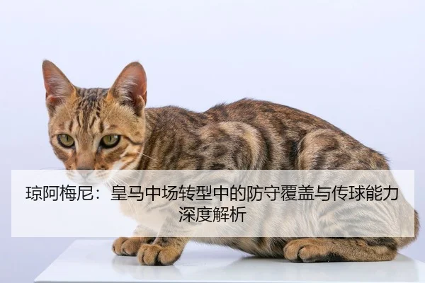 琼阿梅尼：皇马中场转型中的防守覆盖与传球能力深度解析