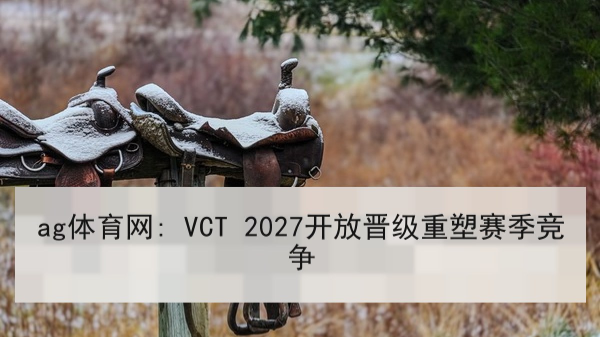 ag体育网: VCT 2027开放晋级重塑赛季竞争 ag体育网: VCT 2027开放晋级重塑赛季竞争