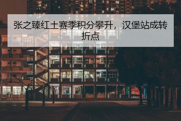 张之臻红土赛季积分攀升，汉堡站成转折点