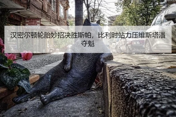 han-mi-er-dun-lun-tai-miao-zhao-jue-sheng-si-pa-bi-li-shi-zhan-li-ya-wei-si-ta-pan-duo-kui-3-661.jpg
