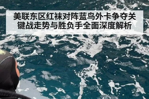 美联东区红袜对阵蓝鸟外卡争夺关键战走势与胜负手全面深度解析